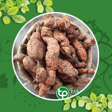 Phân phối bán Hà Thủ Ô tại Bình Tân chữa suy nhược thần kinh