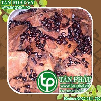 Phân phối bán Hà Thủ Ô tại Củ Chi Giúp  bổ máu
