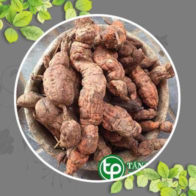 Phân phối bán Hà Thủ Ô tại Phú Nhuận chất lượng
