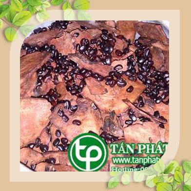 Phân phối bán Hà Thủ Ô tại quận Gò Vấp trị bệnh viêm da mủ