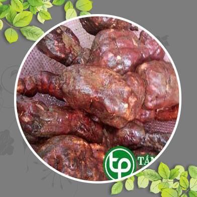 Phân phối bán Hà Thủ Ô tại Tân Phú giúp đen râu tóc